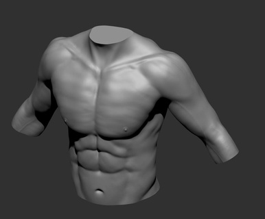 réaliste torse sculpture 3d impression buste corps homme anatomie fort pectoraux abdomen biceps biologie art grec muscles parfaits 3d print model - Mito3D