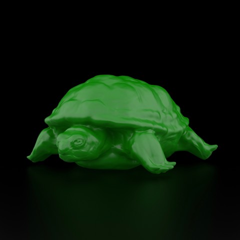 realistic turtle art 3D print model - Mito3D
