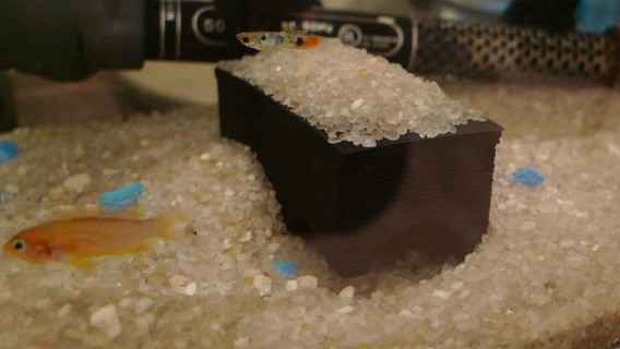 dikdörtgen mağara akvaryum balık 3d print model - Mito3D