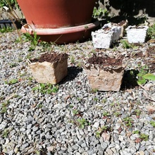 recycled cardboard pot mold home outdoor garden