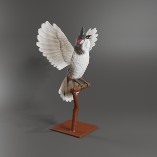 red whiskered bulbol çiğnemek ch Sanat kuş hayvan hayvanlar uçmak uçan dekor kırmızı bıyıklı kaomao 3d print model - Mito3D