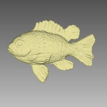 red fish art 3d print model - Mito3D