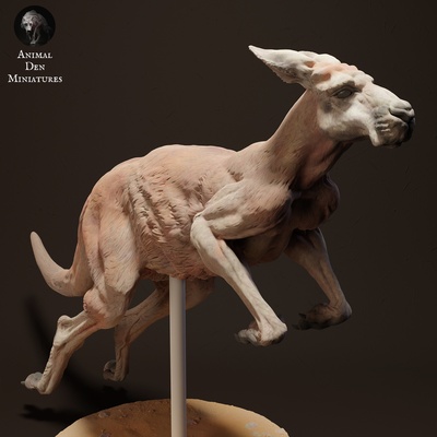 rosso canguro jack saltare animale compagno selvaggio fauna selvatica creatura realistico scultura figurina figura miniatura pascolo deserto 3d print model - Mito3D