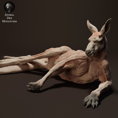 rojo canguro jack acostado animal compañero wallaby salvaje fauna silvestre criatura realista escultura figurilla figura miniatura pradera desierto 3d print model - Mito3D