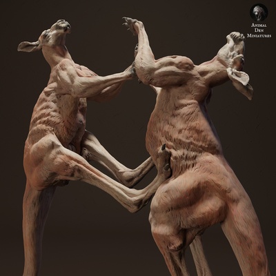 rosso canguro jack combattimento animale compagno selvaggio fauna selvatica creatura realistico scultura figurina figura miniatura pascolo deserto 3d print model - Mito3D