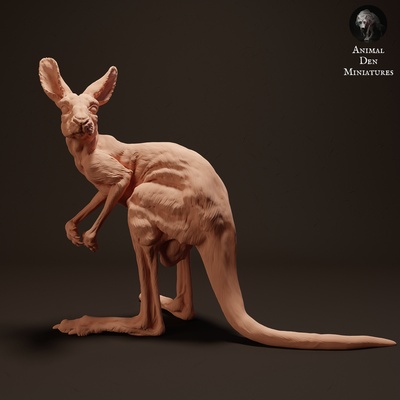 rot känguru joey tier begleiter wallaby wild tierwelt kreatur realistisch skulptur figur zahl miniatur wiese wüste 3d print model - Mito3D