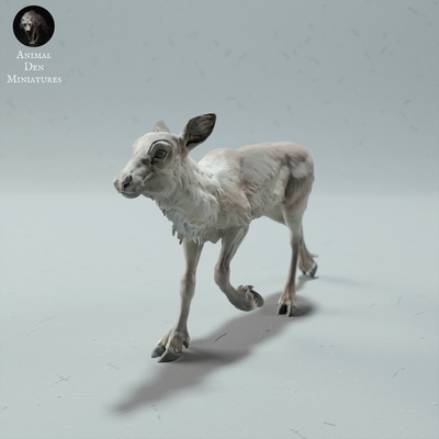 renne caribou veau animal arctique rudolph cerf enfant sauvage faune créature réaliste sculpture figurine figure miniature hiver toundra neige 3d print model - Mito3D