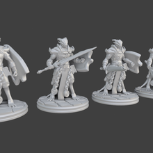 remix dragonborn paladin miniature supports extra poses 3d print model - Mito3D