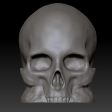 replace customize lid apple pencil gadget skull 3d print model - Mito3D