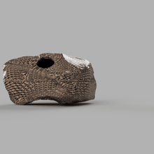 sürüngen mağara geko yılan kertenkele kabuklu Ejderha hayvan saklamak ıslak nemli kuru Ilık hafif sıcak teraryum vivaryum 3d print model - Mito3D