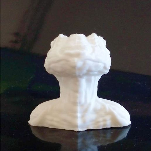 rettiliano arte 3D print model - Mito3D
