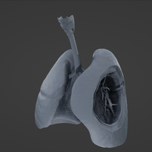 respiratory 3d print model - Mito3D