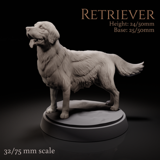 retriever dog animal creature pet companion miniature tabletop golden dnd 32mm 75mm familiar dnd5e presupported 3d print model - Mito3D