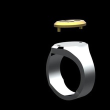 revolucionário anel jóias homem pulseiras colares animais motivos inovação criação jóia chevaliere concorrência anicubic 3d print model - Mito3D