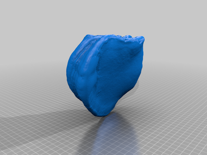 revopoint pop2 arbre champignon 3d impression 3d print model - Mito3D