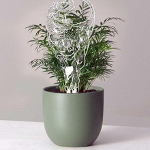 rex trellis trex dino tyrannosaurus plants houseplant gift cute succulent pot 3d print model - Mito3D