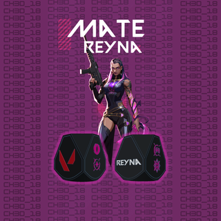 reyna valorant mate csgo shooter game videogames duelist argentina 3d print model - Mito3D