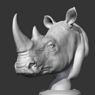 rhino head am12 3d print model mammal bust animal sculpture statue monument download figurine printer kitty miniature miniatures art 3d print model - Mito3D