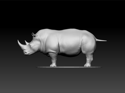 rhinocéros vidéo faits gamins africain information nord blanc bébé court animal 3d print model - Mito3D