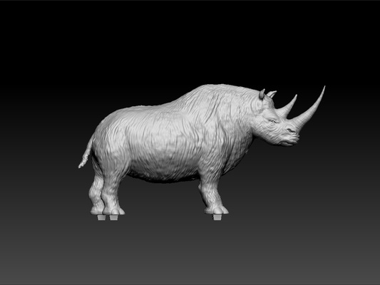 rhinoceros art on desk test model amazing animal royal beauty beautiful shiny royality 3d print model - Mito3D