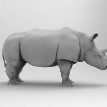rhinoceros art rhino statue animal 3d print model - Mito3D