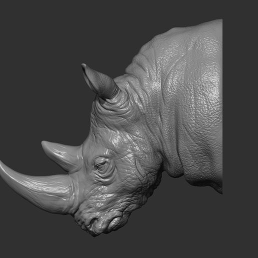 rinoceronte cabeza Arte animal zoo africano naturaleza safari mamífero plata cuerno colgante pendiente decoración estatua imprimible medallón cnc joyería joya esculturas 3D print model - Mito3D