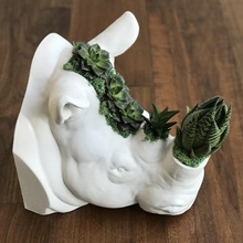 rhinocéros tête art unique collection l'intérieur moderne la poterie animal pot de l'usine rhino 3d print model - Mito3D