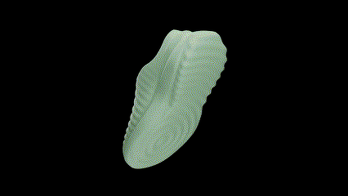 rib shoe 3d printed 3dshoe footwear 3d print model - Mito3D