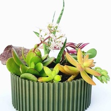 ribbed vase plant home gardening 3d print model - Mito3D
