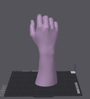 right male hand wrist arm anatomy fist glove 3d print model - Mito3D
