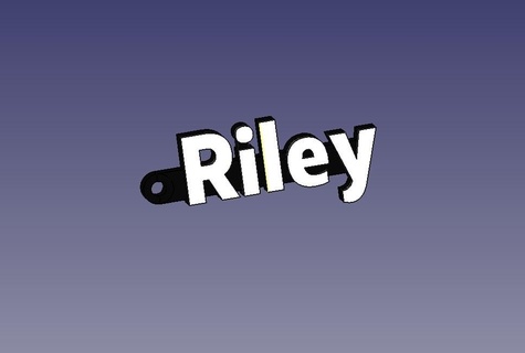Riley porte clés 3d print model - Mito3D