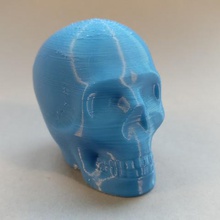 riley imprimable crâne divers 3d print model - Mito3D