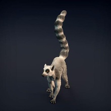 ring-tailed lemur art animal sculpture figure supported presupported companion dnd wildlife ape toy creature cute collectible miniature nature statue 3d print model - Mito3D
