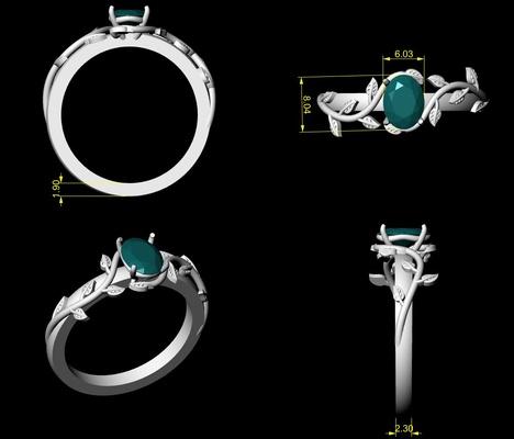 ring schmuck 3d print model - Mito3D