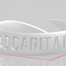 anello amore appartengono giocattolo latino 3d print model - Mito3D
