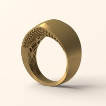 ring 25 3d print model - Mito3D