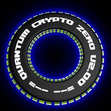 ring-chip - Konzept quantum crypto-null-v200 verschiedene hobby 3d print model - Mito3D