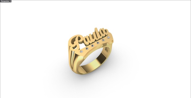 ring name paula personalized 3d print model - Mito3D
