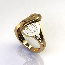 ring plain 66 3d print model - Mito3D