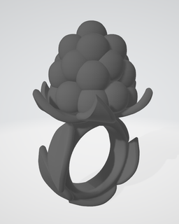 ring shape raspberry decoration leaves berry gift 3d print model - Mito3D