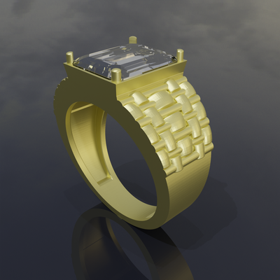 ring stein 2 3d print model - Mito3D