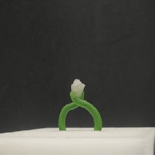 ring stone inlay 3d print model - Mito3D