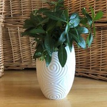 Welligkeit Vase eiförmig 3d print model - Mito3D
