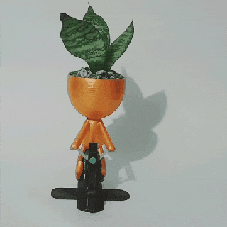 Roberto motociclista pentola matera vaso fiori fiore giardino casa varia pianta 3d print model - Mito3D