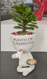 robert empanadas planta maceta matero yogui plantas tarta comida jugo cocina 3d print model - Mito3D