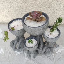 Robert famille 4 pot fleur pots planteur plante fille femme enfants 3d print model - Mito3D