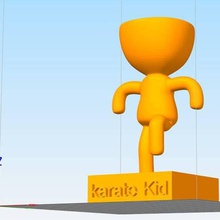 Robert karate çocuk 3d print model - Mito3D