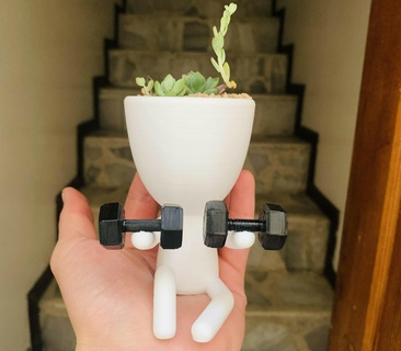 robert pesas pot plant weights garden 3d print model - Mito3D