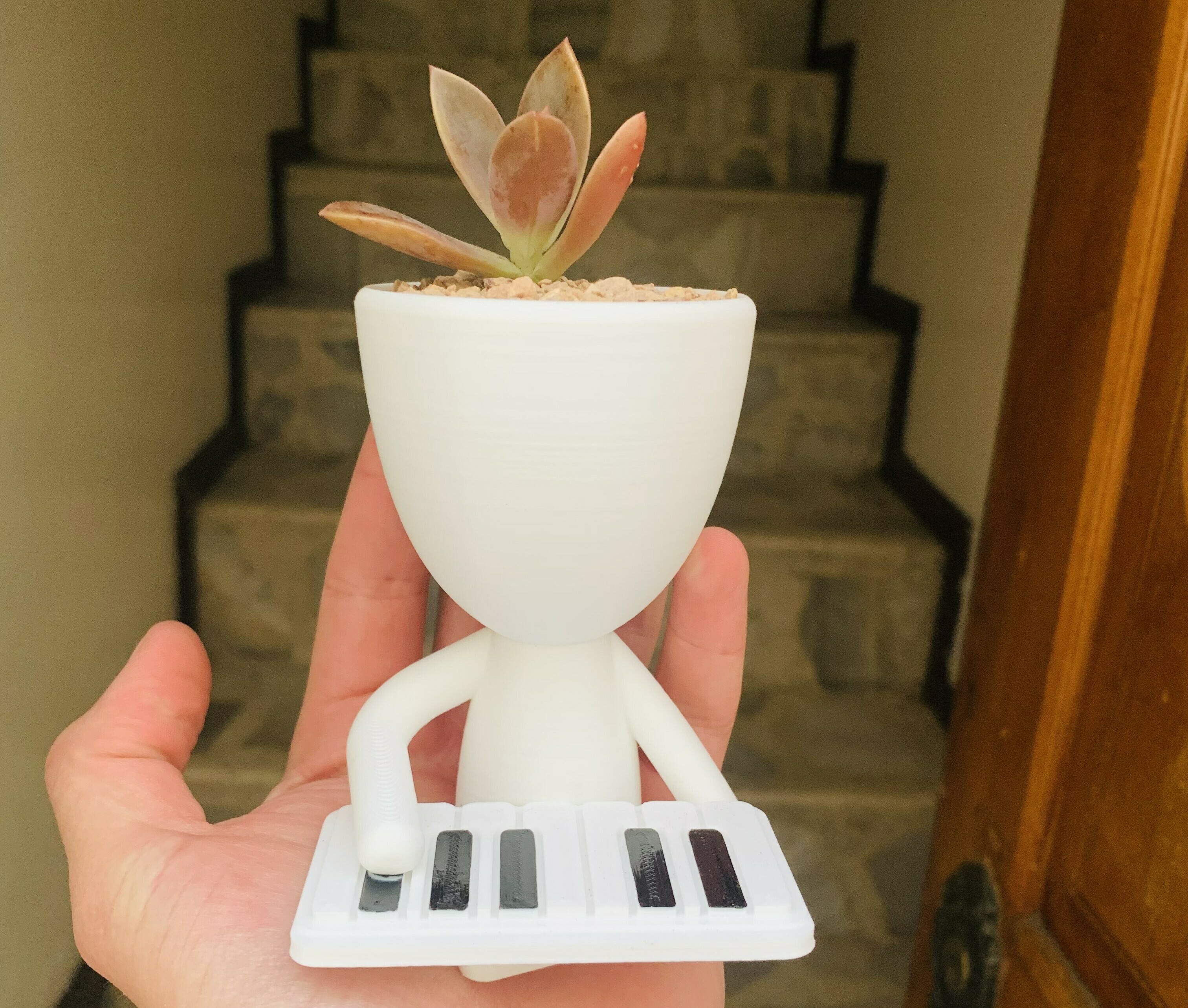 robert pianista maceta planta músico jardín 3D print model - Mito3D