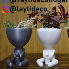 Robert Pflanze Katze taytideco taytidecohogar Tier Original Format Topf Blumentopf Kaktus 3d print model - Mito3D